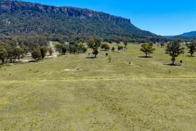 Farm For Sale - NSW - Rylstone - 2849 - Building Block with Spectacular Views  (Image 2)