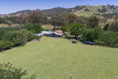 Farm For Sale - NSW - Mudgee - 2850 - 319 acres of mixed grazing ideal for an escape  (Image 2)