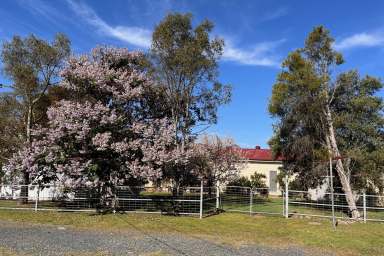 Farm For Sale - NSW - Rylstone - 2849 - Tranquil Capertee Valley Bushland Getaway  (Image 2)