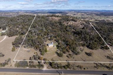 Farm For Sale - NSW - Mudgee - 2850 - Opportunity abounds  (Image 2)