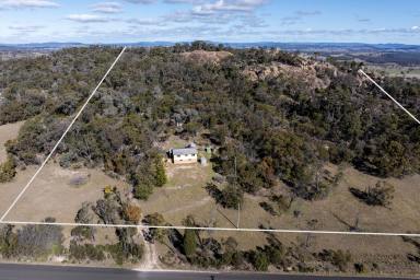 Farm For Sale - NSW - Mudgee - 2850 - Opportunity abounds  (Image 2)