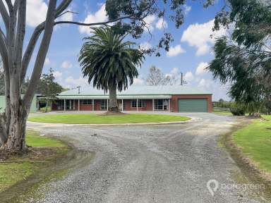 Farm For Sale - VIC - Foster - 3960 - PEACEFUL LIVING CLOSE TOWN  (Image 2)