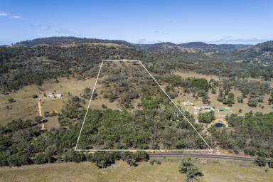 Farm For Sale - NSW - Mudgee - 2850 - Rural Living Awaits  (Image 2)