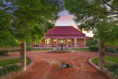 Farm For Sale - NSW - Mudgee - 2850 - Elegant country lifestyle property with working farm  (Image 2)