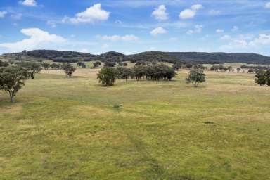 Farm For Sale - NSW - Mudgee - 2850 - Curragundi – The Ultimate Rural Lifestyle  (Image 2)