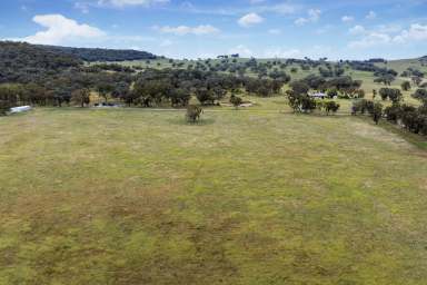 Farm For Sale - NSW - Mudgee - 2850 - Curragundi – The Ultimate Rural Lifestyle  (Image 2)