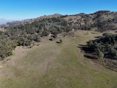 Farm For Sale - NSW - Gulgong - 2852 - 567ha (1400ac) in Gulgong-Goolma-Mudgee Triangle  (Image 2)