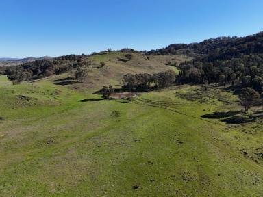 Farm For Sale - NSW - Gulgong - 2852 - 567ha (1400ac) in Gulgong-Goolma-Mudgee Triangle  (Image 2)