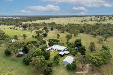 Farm For Sale - NSW - Gulgong - 2852 - Rural Lifestyle Living + Established Income  (Image 2)