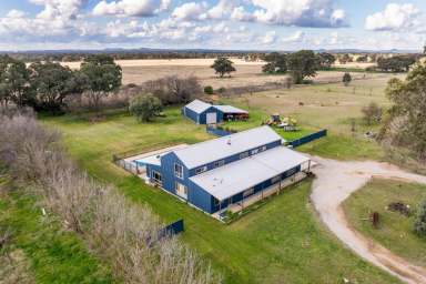 Farm For Sale - NSW - Gulgong - 2852 - Massive 400sqm home situated on 5 Acres  (Image 2)