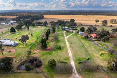 Farm For Sale - NSW - Gulgong - 2852 - Massive 400sqm home situated on 5 Acres  (Image 2)