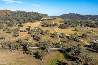 Farm For Sale - NSW - Mudgee - 2850 - Rural living at its best  (Image 2)