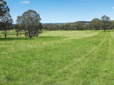 Farm For Sale - NSW - Mudgee - 2850 - Rural living at its best  (Image 2)