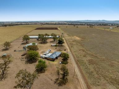 Farm Auction - QLD - Athol - 4350 - 2 homes - 18 Meg Irrigation Licence - 2 Road Frontage - 55.4* acres - "Keldar"  (Image 2)