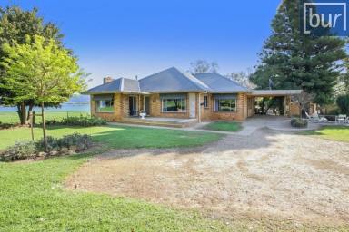 Farm For Sale - VIC - Thologolong - 3691 - Experience lifestyle living on the banks of the Hume Weir/Murray River  (Image 2)