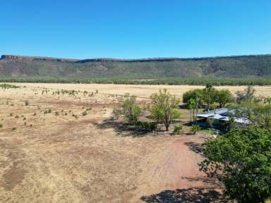 Farm For Sale - NT - Bradshaw - 0852 - Wilderness Retreat With Victoria River Access  (Image 2)