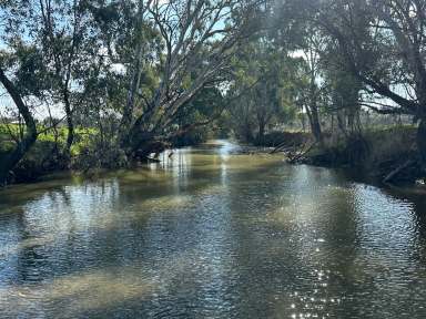 Farm For Sale - NSW - Tarcutta - 2652 - IRRIGATION / LIVESTOCK FATTENING / FODDER PRODUCTION  (Image 2)