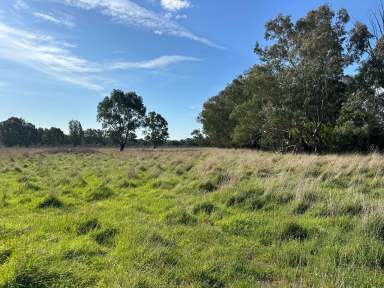 Farm For Sale - NSW - Tarcutta - 2652 - IRRIGATION / LIVESTOCK FATTENING / FODDER PRODUCTION  (Image 2)