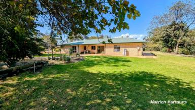 Farm For Sale - WA - Wanerie - 6503 - Wanerie! Stunning hobby farm, ready for you and family to enjoy!  (Image 2)