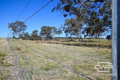 Farm For Sale - NSW - Shannon Vale - 2370 - 'Winsom Downs'  (Image 2)