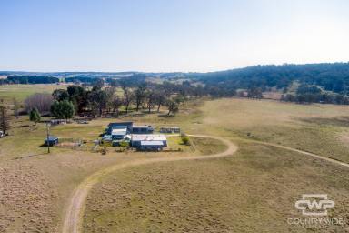 Farm For Sale - NSW - Shannon Vale - 2370 - 'Winsom Downs'  (Image 2)