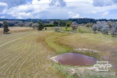 Farm For Sale - NSW - Shannon Vale - 2370 - 'Winsom Downs'  (Image 2)