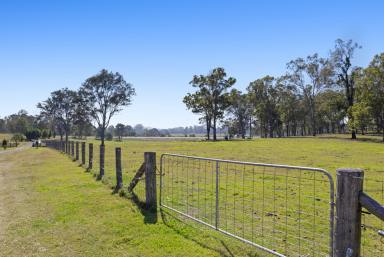 Farm For Sale - QLD - Woodford - 4514 - Unrivalled Acreage Opportunity: 72 Usable Acres with Equestrian Facilities  (Image 2)