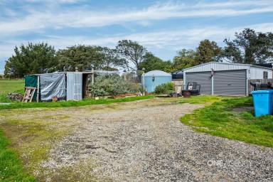 Farm For Sale - TAS - Lileah - 7330 - Escpape to the country!  (Image 2)