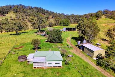 Farm For Sale - NSW - Krambach - 2429 - Outstanding Acreage Property In A Great Location!  (Image 2)