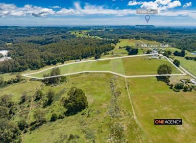 Farm For Sale - TAS - Calder - 7325 - Hillview - The Ultimate Hobby Farm/Lifestyle Proposition!  (Image 2)