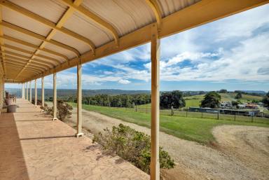 Farm For Sale - TAS - Calder - 7325 - Hillview - The Ultimate Hobby Farm/Lifestyle Proposition!  (Image 2)