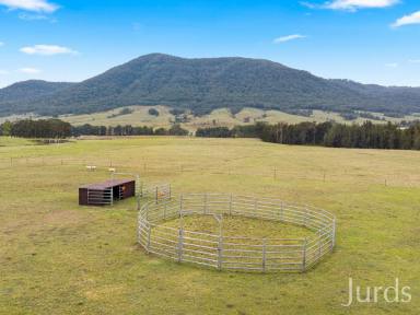 Farm For Sale - NSW - Stanhope - 2335 - DREAM HUNTER VALLEY LIFESTYLE PROPERTY  (Image 2)