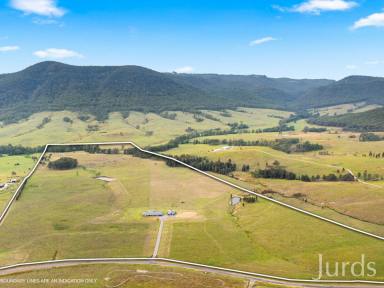 Farm For Sale - NSW - Stanhope - 2335 - DREAM HUNTER VALLEY LIFESTYLE PROPERTY  (Image 2)