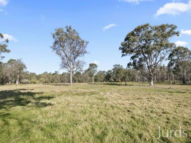 Farm For Sale - NSW - Abermain - 2326 - Attention Small Developers  (Image 2)