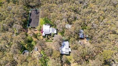 Farm For Sale - WA - Margaret River - 6285 - Your Forest Retreat  (Image 2)