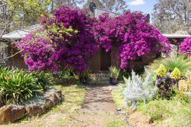 Farm For Sale - WA - Margaret River - 6285 - Your Forest Retreat  (Image 2)