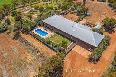 Farm For Sale - WA - Muluckine - 6401 - "The Perfect Christmas Present"  (Image 2)