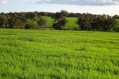 Farm For Sale - WA - Hastings - 6308 - Rolling Picturesque Country  (Image 2)