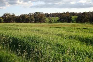 Farm For Sale - WA - Hastings - 6308 - Rolling Picturesque Country  (Image 2)