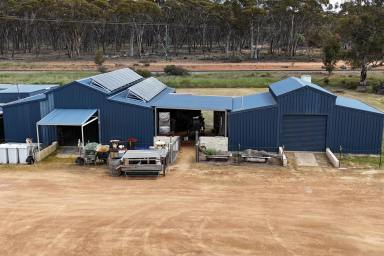 Farm For Sale - WA - Kokeby - 6304 - 8982 Gt Sthn Hwy, Kokeby - Modern Rural Living  18.98ha (46.88acres)  (Image 2)