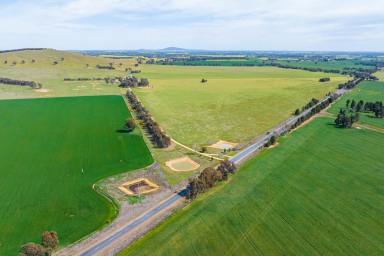 Farm Auction - NSW - Burrumbuttock - 2642 - QUALITY MIXED FARMING PROPERTY                       720*ACRES | 291.4*HA  (Image 2)