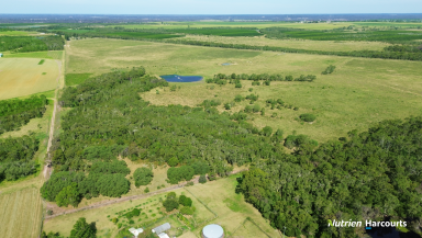 Farm For Sale - QLD - South Kolan - 4670 - 160 Cultivated Acre Farm with 8" Outlet  (Image 2)