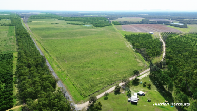 Farm For Sale - QLD - South Kolan - 4670 - 160 Cultivated Acre Farm with 8" Outlet  (Image 2)