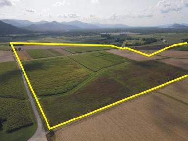 Farm For Sale - QLD - Macknade - 4850 - CANE FARM - MACKNADE!  (Image 2)