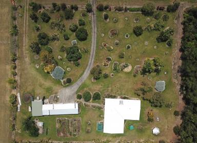 Farm For Sale - QLD - Cardwell - 4849 - Sea Change in Tropical Paradise -  4 large bedrooms, 2 bathrooms & large sheds  (Image 2)