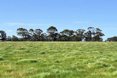 Farm For Sale - WA - Albany - 6330 - Elevated 1-Hectare Lots. Country Living with Great Views  (Image 2)