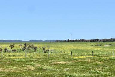 Farm For Sale - WA - Albany - 6330 - Elevated 1-Hectare Lots. Country Living with Great Views  (Image 2)