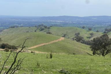 Farm For Sale - VIC - Bethanga - 3691 - 2 Lots with Million $$ Views  (Image 2)