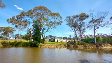 Farm For Sale - NSW - Marulan - 2579 - GREAT LOCATION  (Image 2)