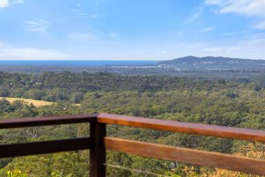 Farm Auction - QLD - Doonan - 4562 - Character Ridgetop Retreat With Matchless Noosa Views  (Image 2)